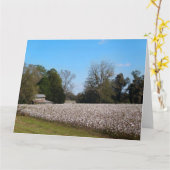 シェッド付きグルジアの綿畑 カード (黄色い花)