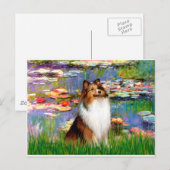 シェトランドシープドッグ(Bz) -リリー2 ポストカード (正面/裏面)