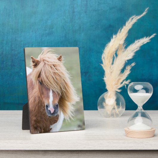 シェトランドポニー島のウンスト フォトプラーク (側面)