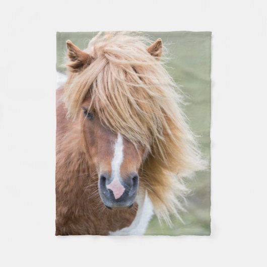 シェトランドポニー島のウンスト フリースブランケット (正面)