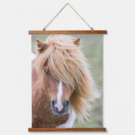 シェトランドポニー島のウンスト 吊り下げ型タペストリー (正面)