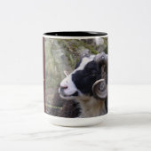 シェトランド諸島のRAMのコーヒー・マグ-夢の織工 ツートーンマグカップ (中央)