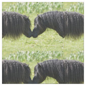 シェトランド諸島子馬のロバおよび種馬の生地 ファブリック (クローズアップ)