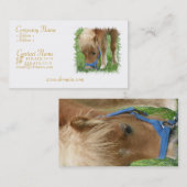 シェトランド諸島子馬の名刺 名刺 (正面/裏面)