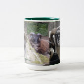 シェトランド諸島TUPSのコーヒー、ココアマグ ツートーンマグカップ (中央)