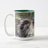 シェトランド諸島TUPSのコーヒー、ココアマグ ツートーンマグカップ (左)