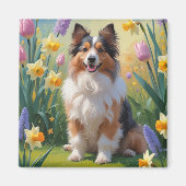 シェトランド・シープドッグ 春の花の絵画 マグネット (正面)