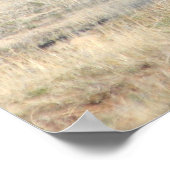 シェナニガン ポスター (角)