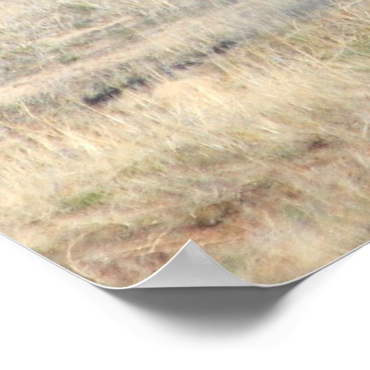 シェナニガン ポスター (角)