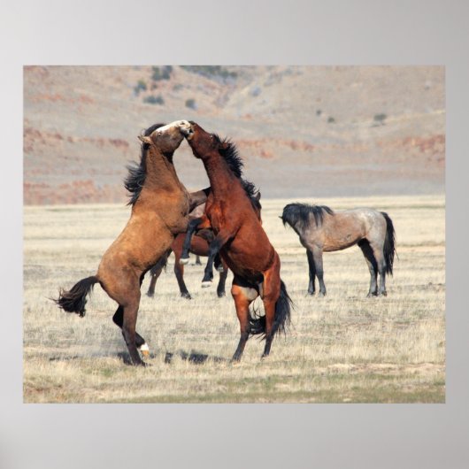 シェナニガン ポスター (正面)