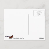 シェナンドアサンセットナショナルパークランドスケープ ポストカード (裏面)