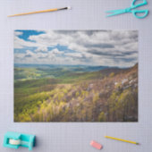 シェナンドアバレー 薄葉紙 (クラフト)