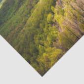 シェナンドアバレー 薄葉紙 (詳細)