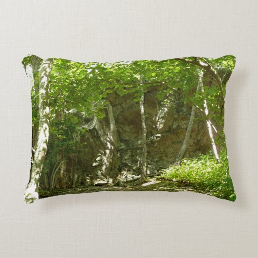 シェナンドア写真のフラジェーディスカバリートレイル アクセントクッション (正面)