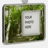 シェナンドア写真のフラジェーディスカバリートレイル シルバープレートフレームオーナメント (右)