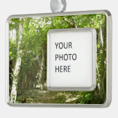 シェナンドア写真のフラジェーディスカバリートレイル シルバープレートフレームオーナメント (左)