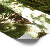 シェナンドア写真のフラジェーディスカバリートレイル ポスター (角)