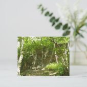 シェナンドア写真のフラジェーディスカバリートレイル ポストカード (スタンド正面)