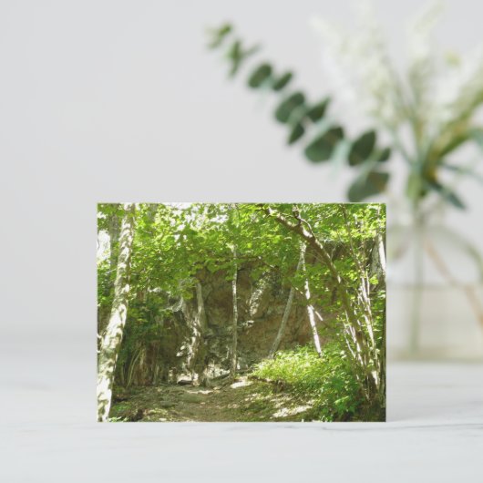 シェナンドア写真のフラジェーディスカバリートレイル ポストカード (スタンド正面)