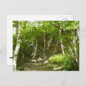 シェナンドア写真のフラジェーディスカバリートレイル ポストカード (正面/裏面)
