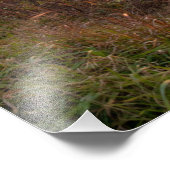 シェナンドア国立公園からの日没 フォトプリント            (角)