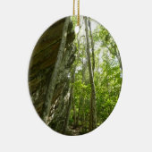 シェナンドア国立公園のフレイザー岩壁 セラミックオーナメント (右)