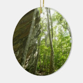 シェナンドア国立公園のフレイザー岩壁 セラミックオーナメント (左)