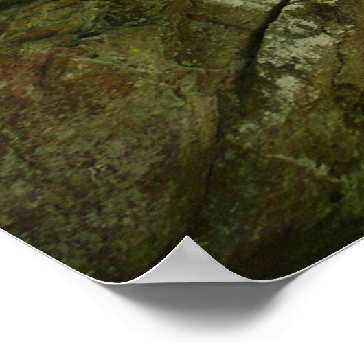 シェナンドア国立公園のフレイザー岩壁 ポスター (角)