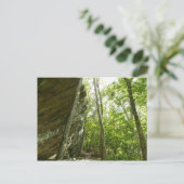 シェナンドア国立公園のフレイザー岩壁 ポストカード (スタンド正面)