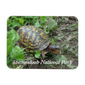 シェナンドア国立公園の東のボックスカメ マグネット (横)
