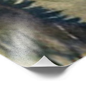 シェナンドア国立公園スカイラインドライブの水彩 フォトプリント            (角)