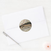 シェナンドー国立公園のガラガラヘビ ラウンドシール (封筒)