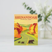 シェナンドー国立公園のクマのポストカード ポストカード (スタンド正面)