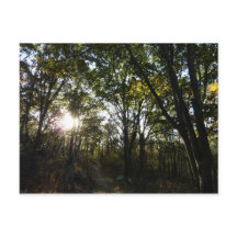 シェナンドー国立公園の秋の朝
