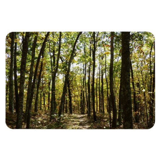 シェナンドー国立公園の10月のアパラチアントレイル マグネット (横)