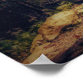 シェナ素朴ンドアの橋の国立森林写真撮影 ポスター (角)