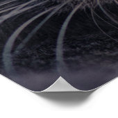 シェバキャット ポスター (角)