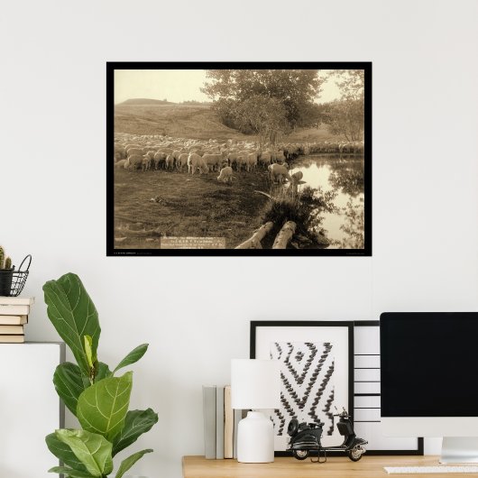 シェパードとフロックのサウスダコタ1891 ポスター (ホームオフィス)