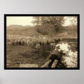 シェパードとフロックのサウスダコタ1891 ポスター (正面)