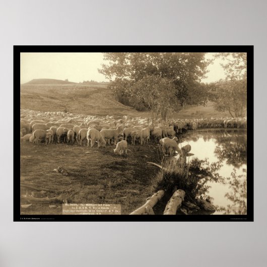 シェパードとフロックのサウスダコタ1891 ポスター (正面)