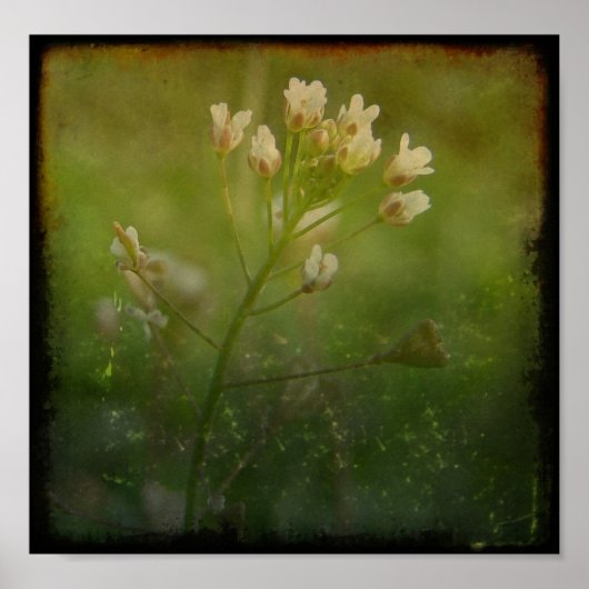 シェパードの財布 ポスター (正面)