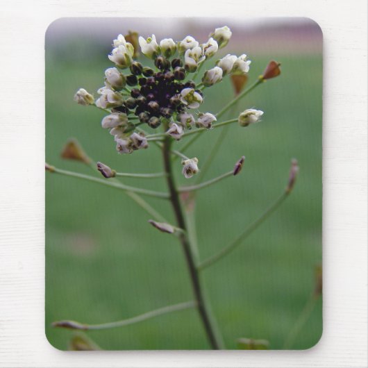 シェパードの財布 マウスパッド (正面)