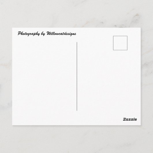 シェパードミックスドッグフォトポストカード ポストカード (裏面)