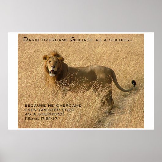 シェパード勇気付けられる ポスター (正面)