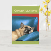 シェパード師さん、おめでとうございます カード (黄色い花)