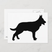 シェパード ポストカード (正面/裏面)