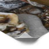 シェフのスペシャル。 ポスター (角)