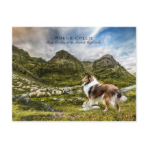 シェファードセーブルラフ色 – コレクタブル