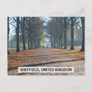 シェフィールド統一された、イギリスはがき ポストカード