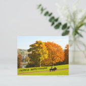 シェフ統一されたフィールド王国 – パークポストカード ポストカード (スタンド正面)